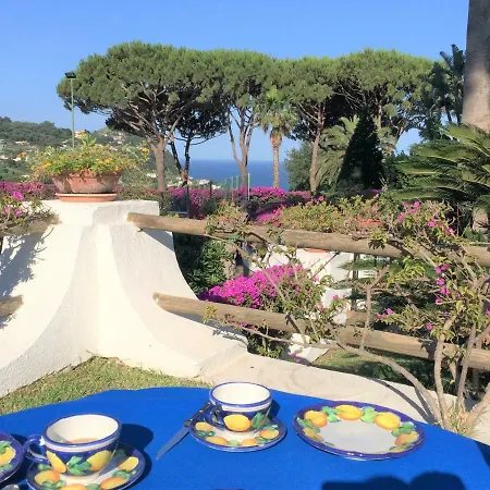 Villa Con Giardino Esclusivo Di 1000 Mq, Piscina, Tennis, Calcio, Bocce Forio di Ischia